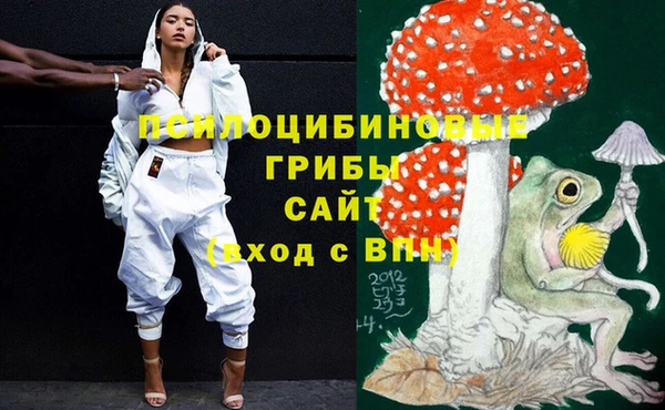 apvp Абдулино